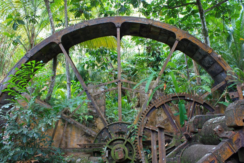 Villa Balenbouche Estate Laborie Exterior foto